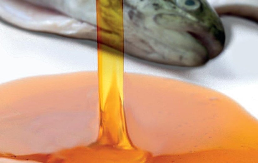 第13页-120 第13页-120